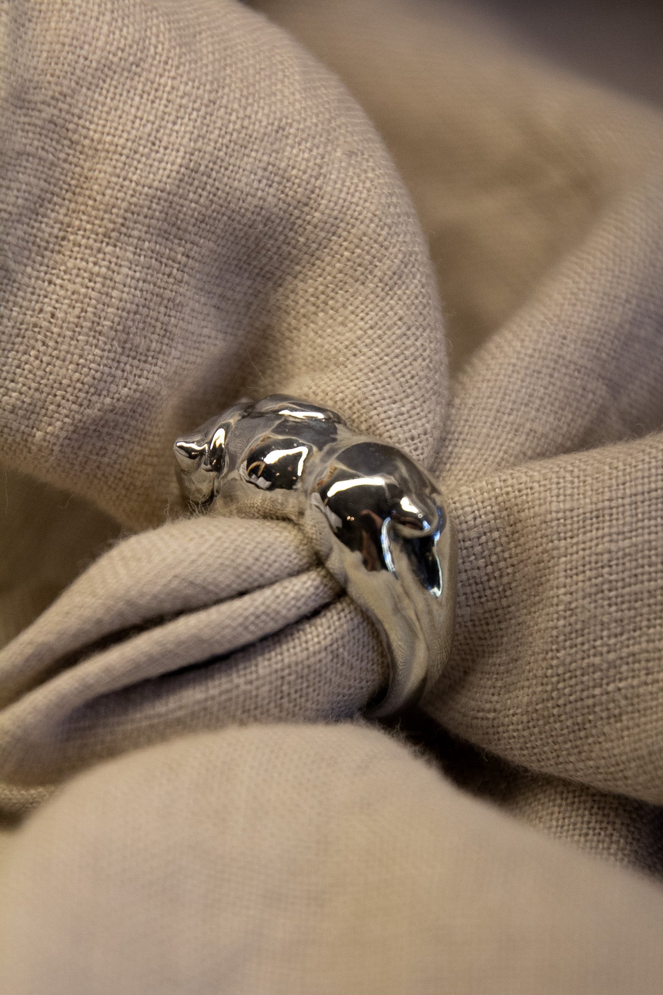 The Guardian Ring