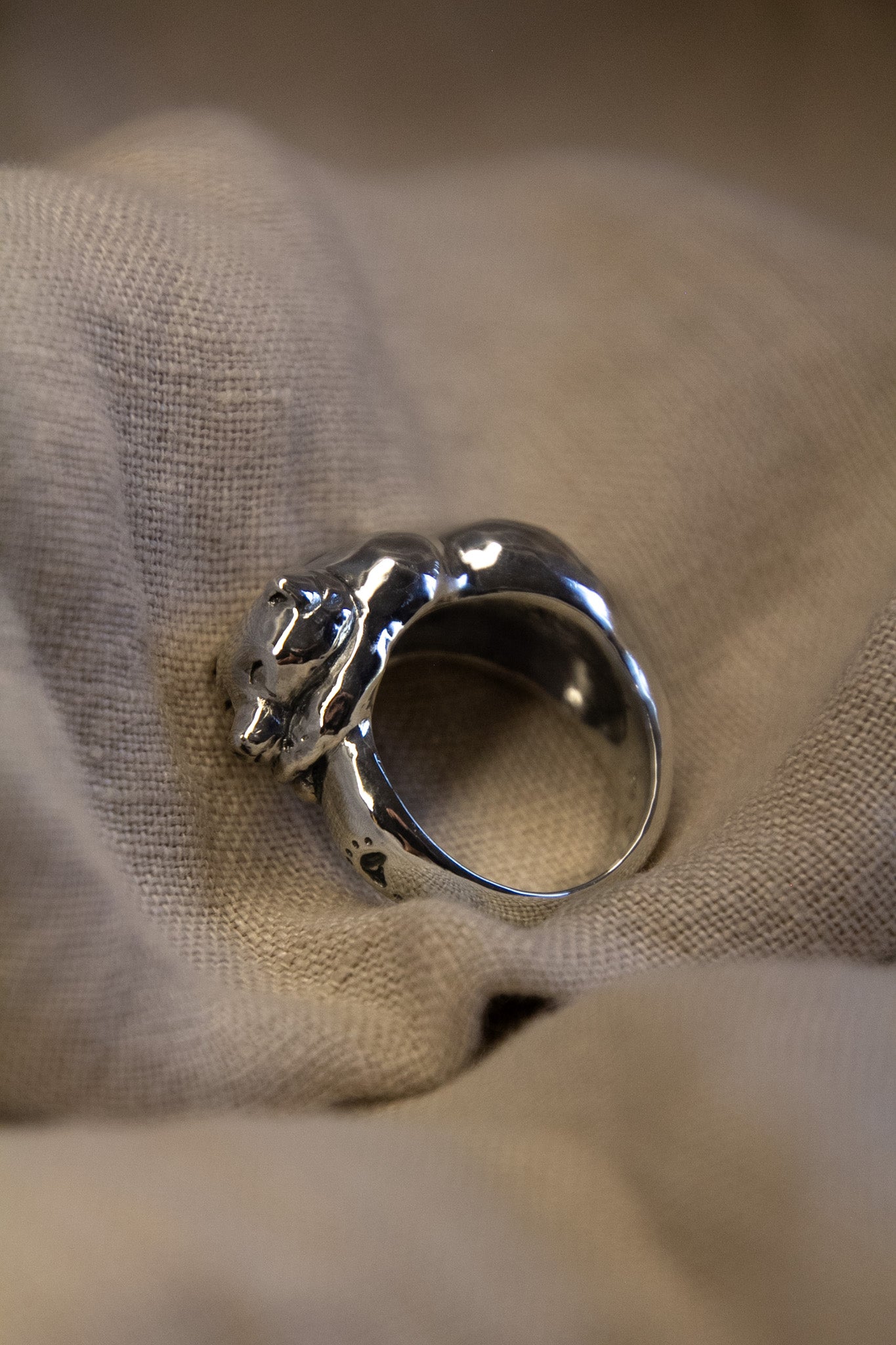 The Guardian Ring